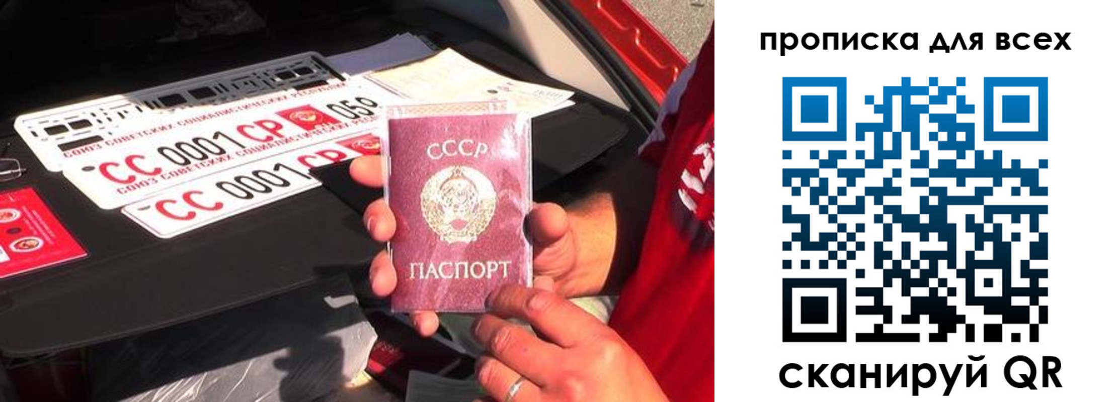 прописка для школы в Тольятти